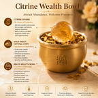Prosperity & Abundance Treasure Bowl — Brass Feng Shui Wealth Bowl with Citrine Sphere & Gold Ingot Chips for Office, Altar & Wealth Corner Décor
